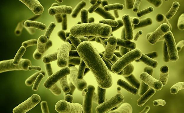 Emiten alerta por bacteria “Klebsiella oxytoca” en el Edomex y en el país