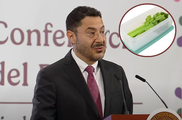 “No habrá sistema de salud que contrarreste efectos de enfermedades crónicas”: M. Batres