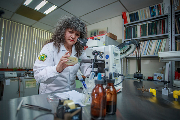 Plagas, un reto para una agricultura sostenible: UAEMéx