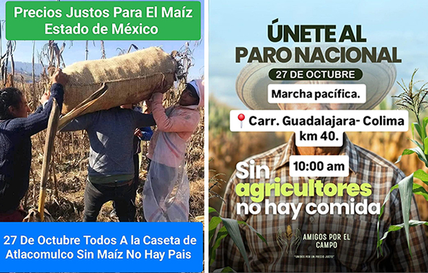 Productores de maíz insisten en la falta de apoyo gubernamental; anuncian nuevas movilizaciones