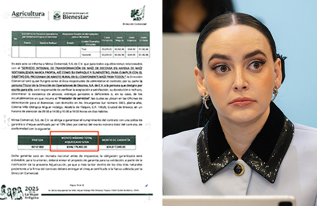 Millonarios contratos para el “maíz del bienestar”, mientras campesinos luchan por sobrevivir