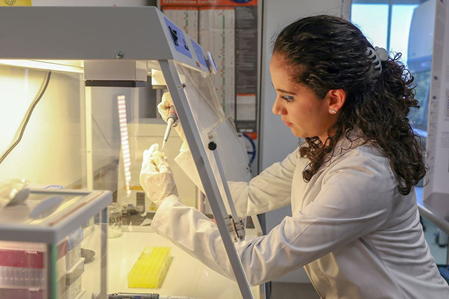 Estudiante de UAEMéx analiza función de gen asociado con crecimiento y reparación celular, para tratar lesiones en médula espinal