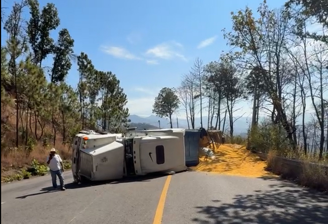 Vuelca tráiler cargado de maíz rolado en carretera a Tejupilco
