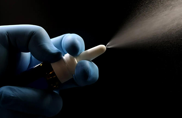 Alebrijes en Cuadratines