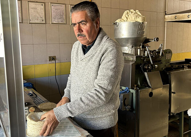 Informalidad del sector permite aumento al precio de la tortilla: UNIMT