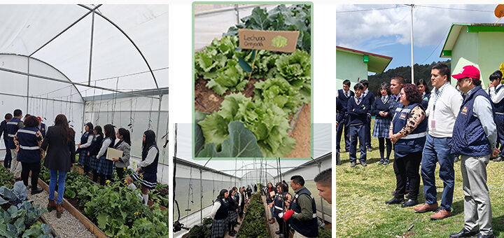 JAPEM y BAMX, acompañan proyectos de inclusión y empoderamiento