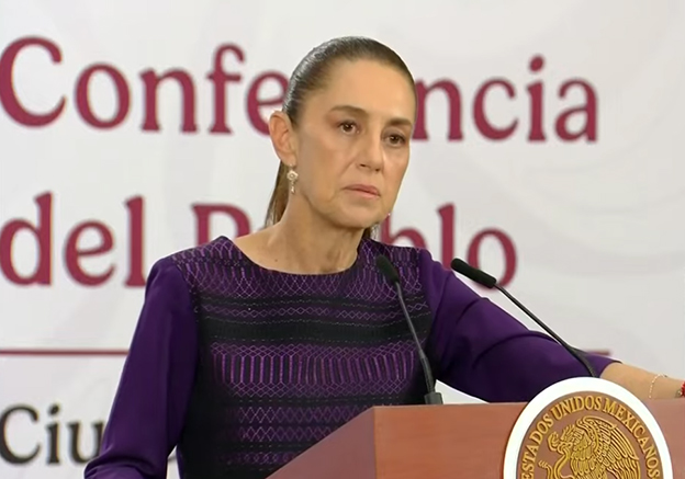 Se homologará el uso de una sola tarjeta en Edomex y CdMx para Suburbano: Sheinbuam