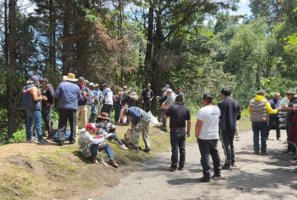Conforman el grupo “Guardabosques Atlautla Unidos”, ante tala clandestina